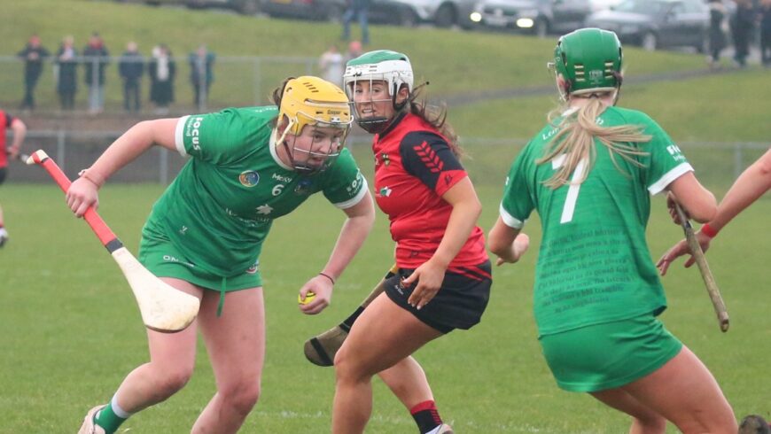 Aoife Murphy representing Down in their league fixture against Limerick