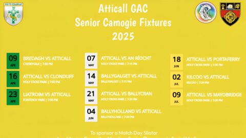 Senior Camogie Fixtures 2025