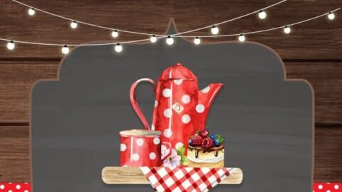 Francie C’s Annual Coffee Morning – In Aid of the Southern Area Hospice 