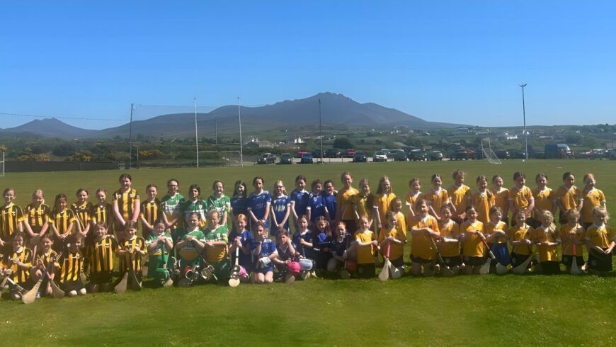 Atticall Camogs host U’8 & U’10 County Blitz