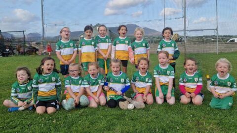 U’6 Camogie Fun