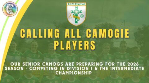 Calling All Camogs