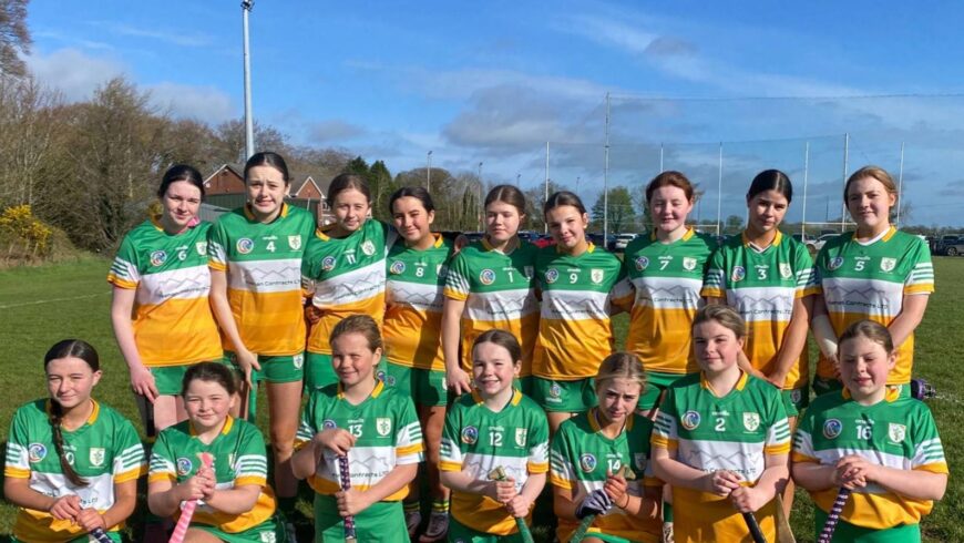 Down Camogie Féile