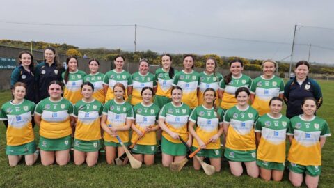 Senior Camogie is Back!