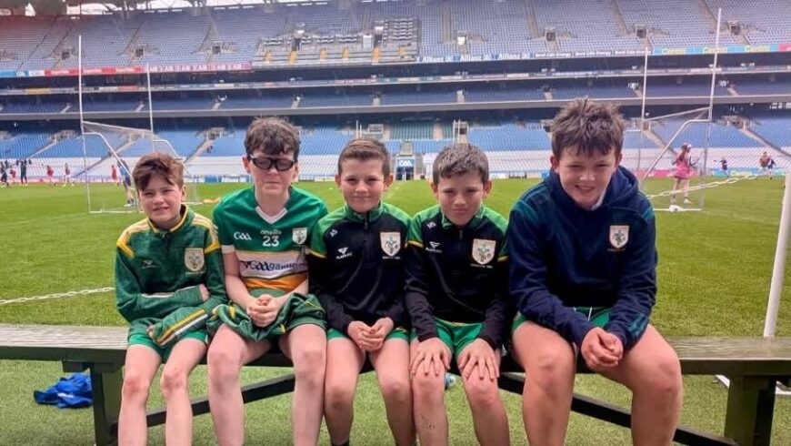 Down GAA – Croke Park Activity Day